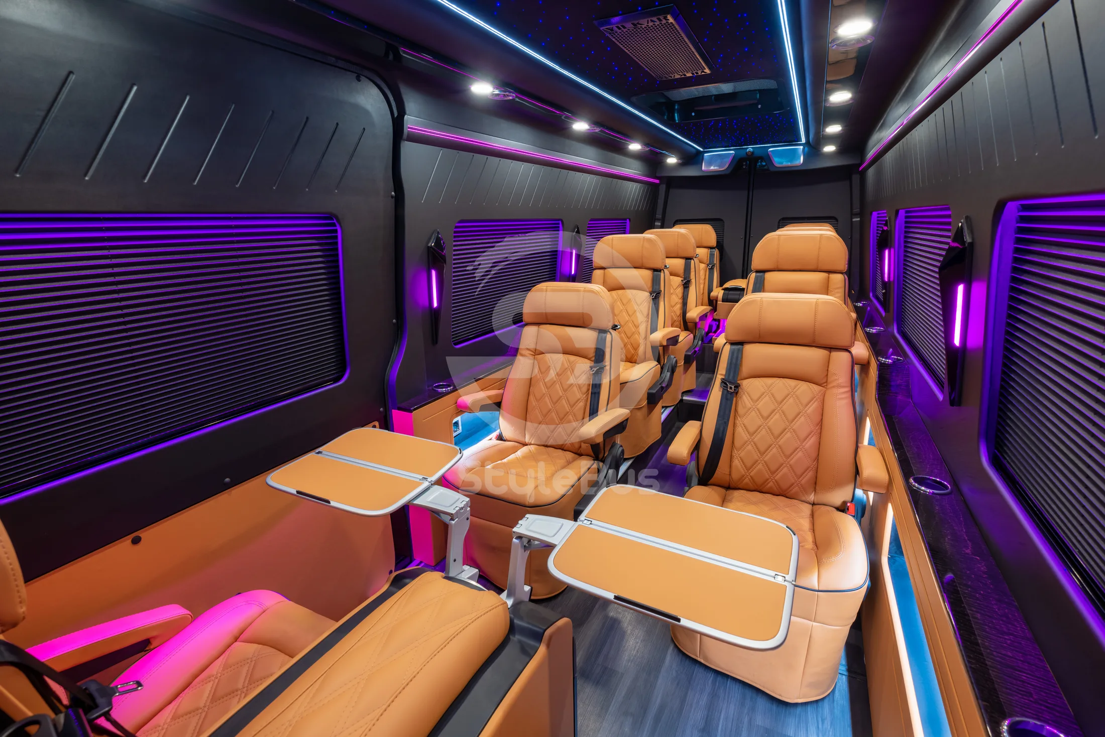 Executive — Sprinter VIP